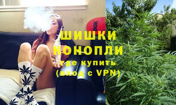 индика Абдулино