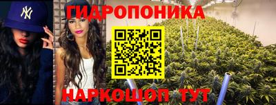 2c-b Боровичи