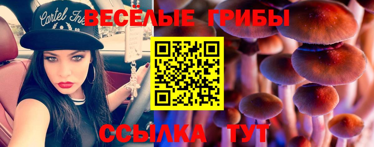 магазин продажи наркотиков  Псилоцибиновые грибы Magic Shrooms  Псилоцибиновые грибы Psilocybe  Вход с VPN  Архангельск 